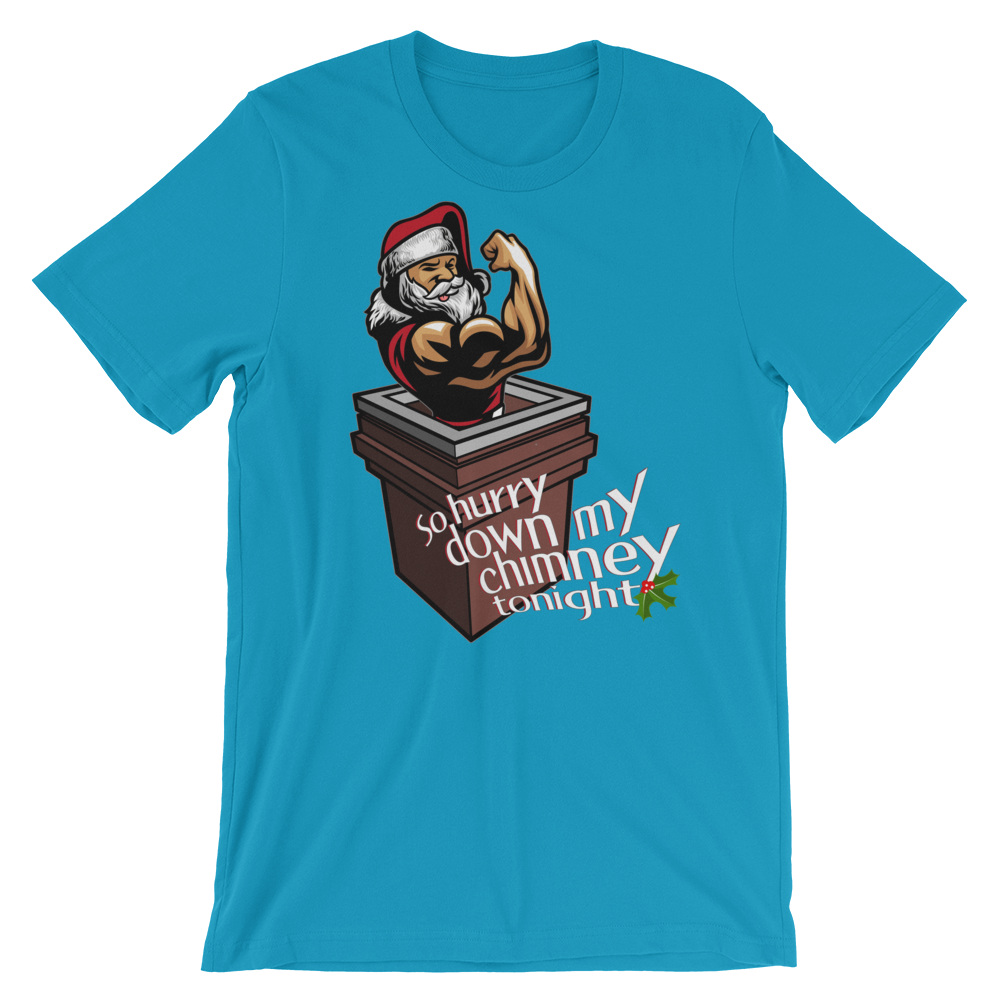 Hurry Down the Chimney-Christmas T-Shirts-Swish Embassy