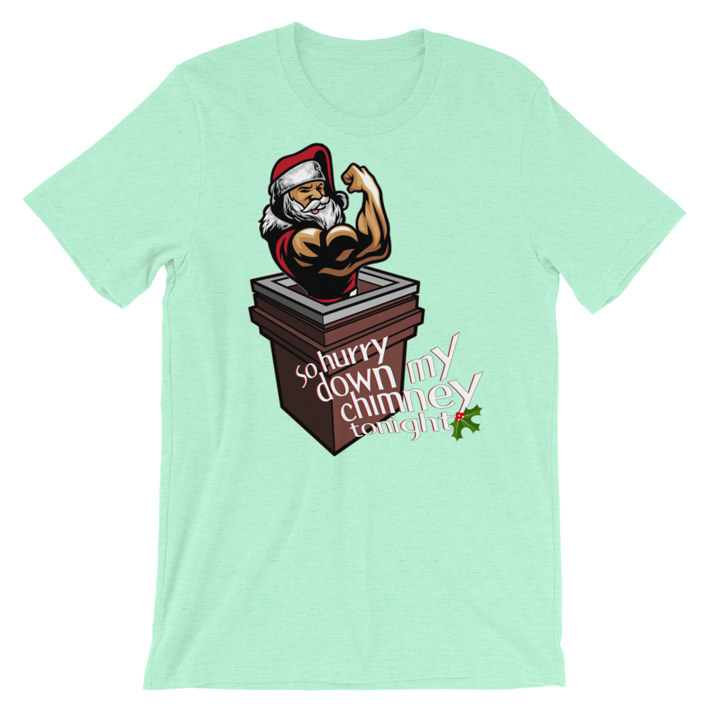 Hurry Down the Chimney-Christmas T-Shirts-Swish Embassy