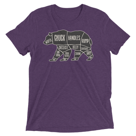 Bear's Anatomy (Triblend)-Triblend T-Shirt-Swish Embassy