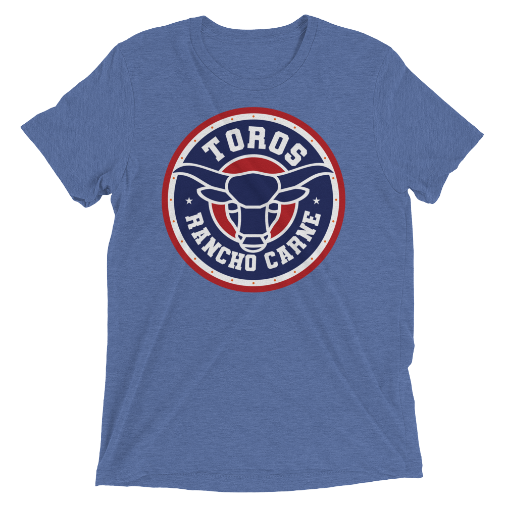 Brr It's Cold in Here (Triblend)-Triblend T-Shirt-Swish Embassy