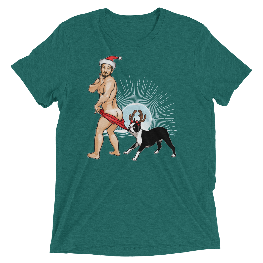 Copper Elf (Triblend)-Triblend T-Shirt-Swish Embassy