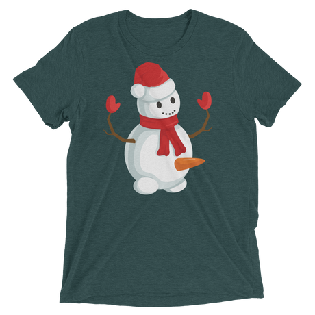 Do You Wanna Build A Snowman? (Triblend)-Triblend T-Shirt-Swish Embassy