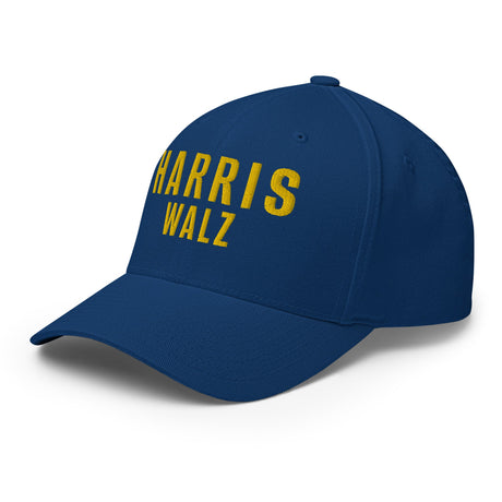 Harris Walz (Flexfit Hat)-Headwear-Swish Embassy