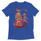 Ho Ho Hoe (Triblend)-Triblend T-Shirt-Swish Embassy