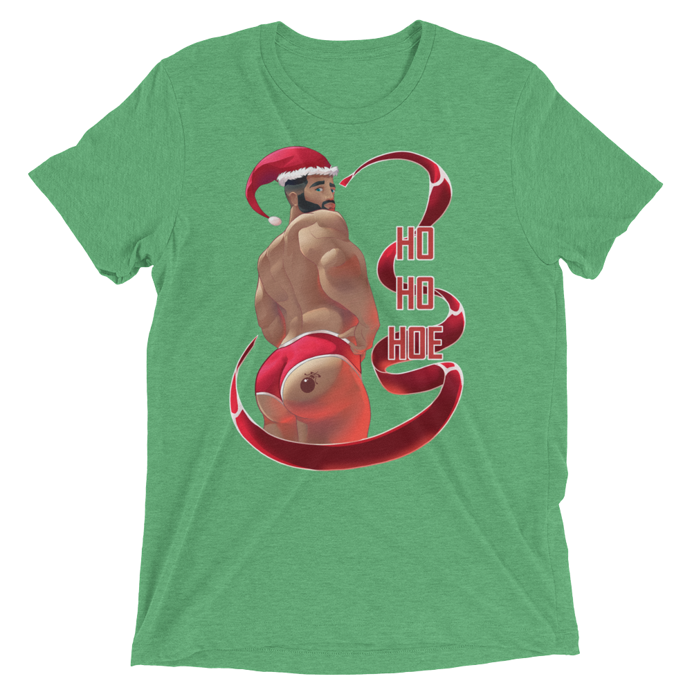 Ho Ho Hoe (Triblend)-Triblend T-Shirt-Swish Embassy