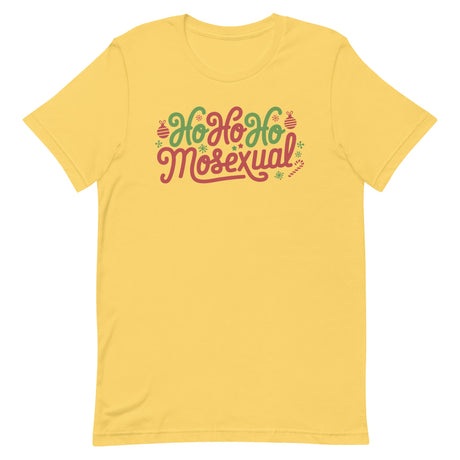 Ho Ho Homosexual-Christmas T-Shirts-Swish Embassy