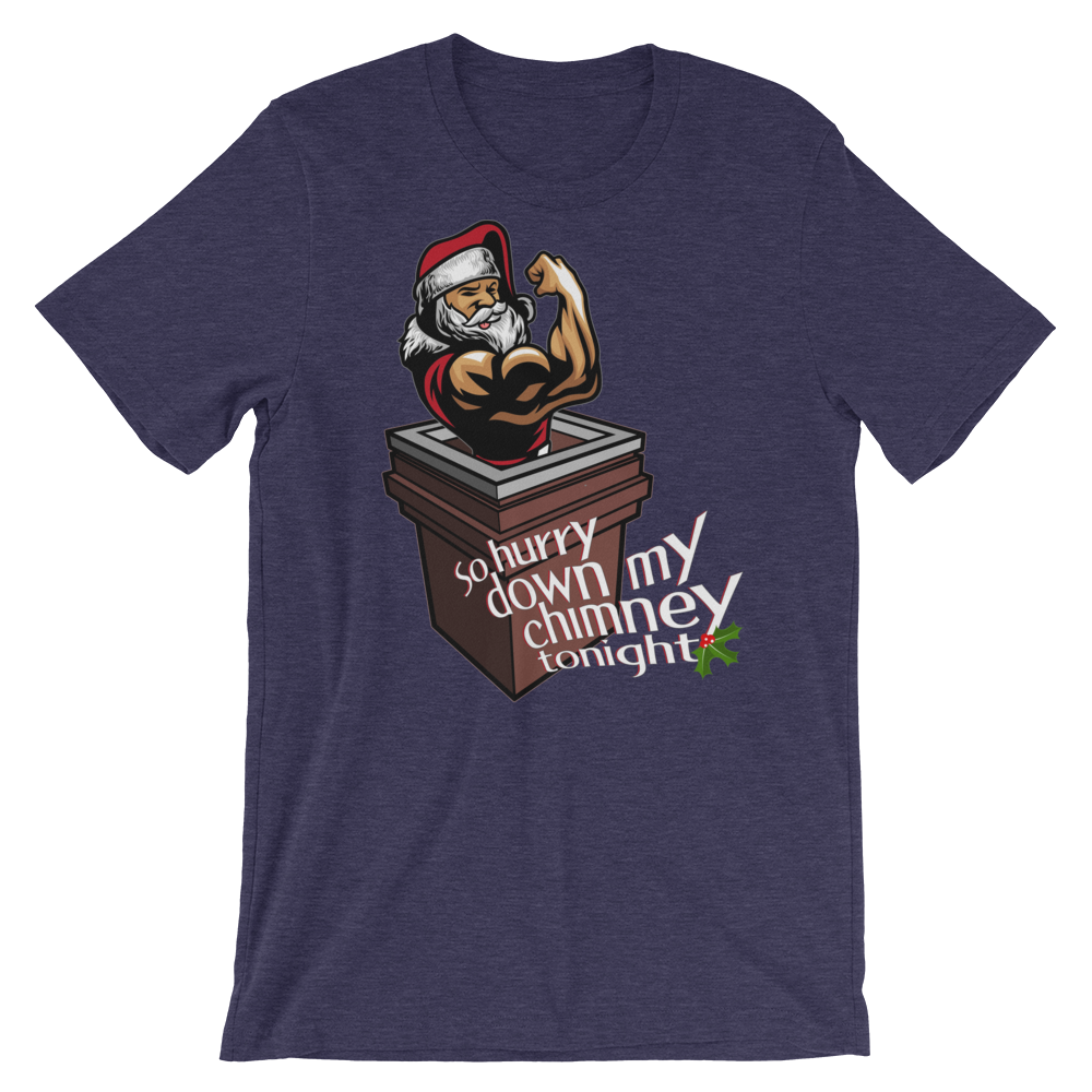 Hurry Down the Chimney-T-Shirts-Swish Embassy