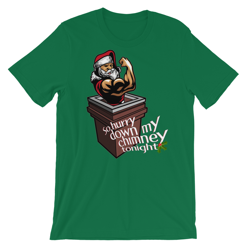 Hurry Down the Chimney-T-Shirts-Swish Embassy