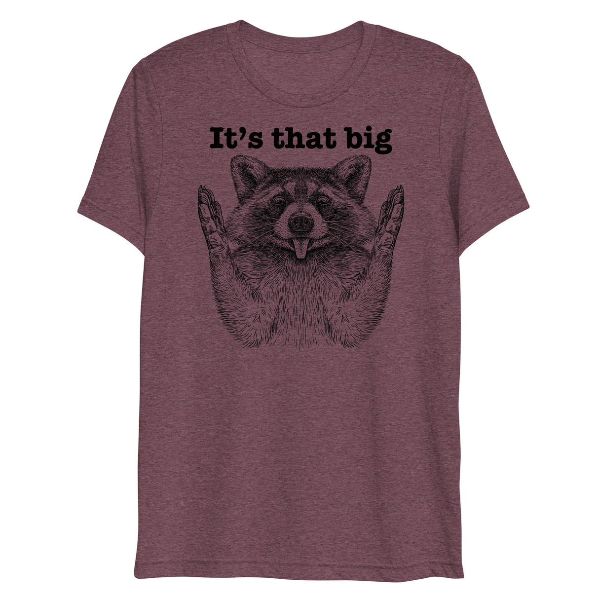 It's that big (Triblend)-Triblend T-Shirt-Swish Embassy