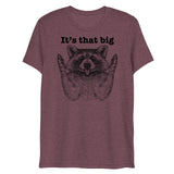 It's that big (Triblend)-Triblend T-Shirt-Swish Embassy