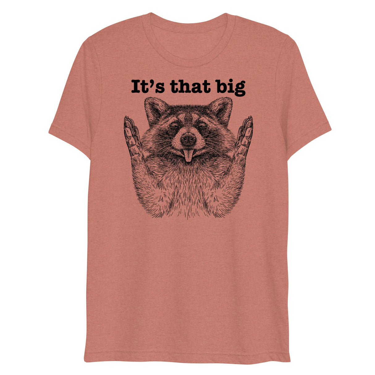 It's that big (Triblend)-Triblend T-Shirt-Swish Embassy