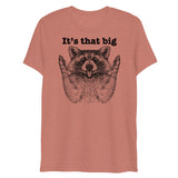 It's that big (Triblend)-Triblend T-Shirt-Swish Embassy