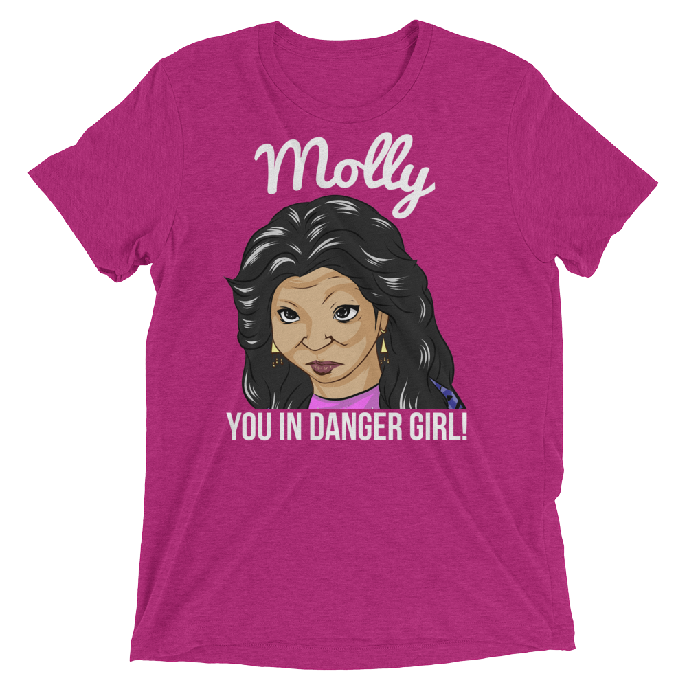 Molly You in Danger (Triblend)-Triblend T-Shirt-Swish Embassy