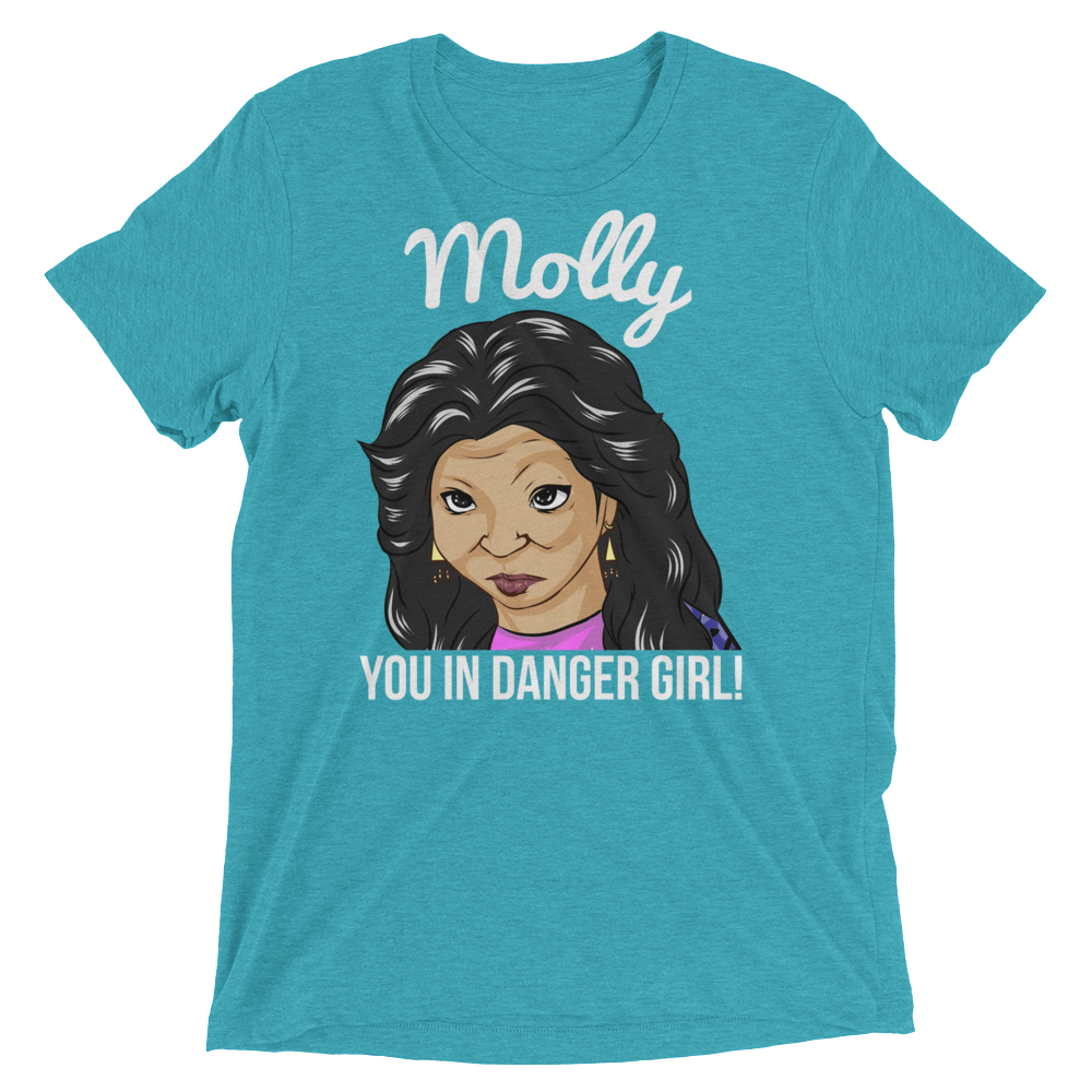 Molly You in Danger (Triblend)-Triblend T-Shirt-Swish Embassy