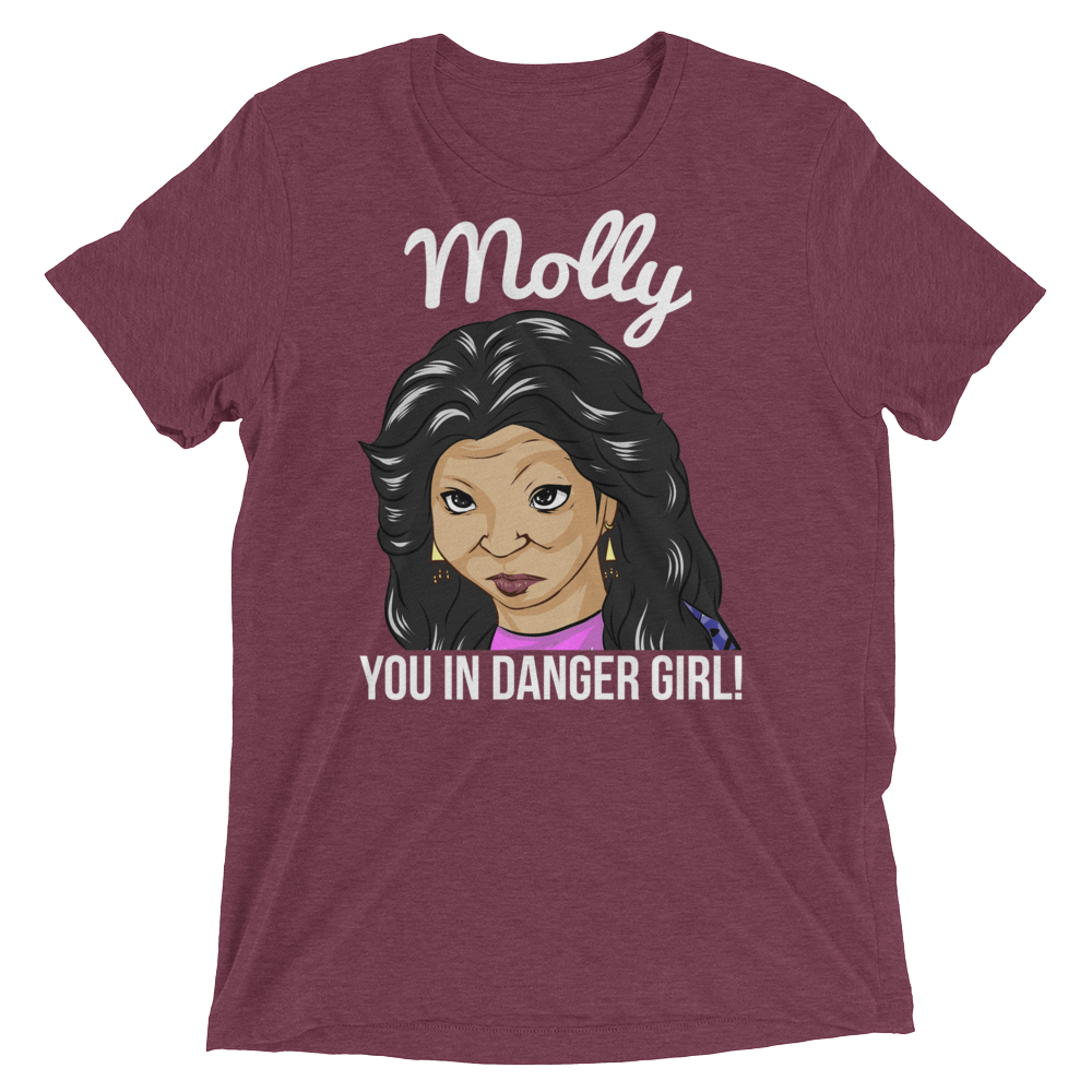 Molly You in Danger (Triblend)-Triblend T-Shirt-Swish Embassy