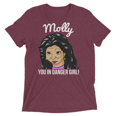 Molly You in Danger (Triblend)-Triblend T-Shirt-Swish Embassy