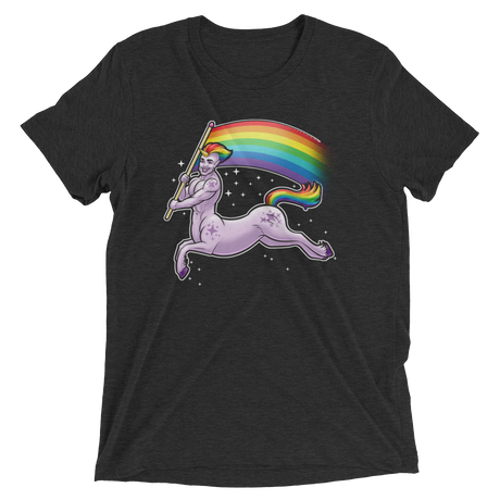 Pride Centaur (Triblend)-Triblend T-Shirt-Swish Embassy