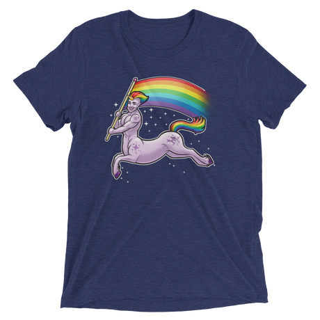 Pride Centaur (Triblend)-Triblend T-Shirt-Swish Embassy