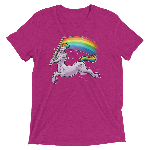 Pride Centaur (Triblend)-Triblend T-Shirt-Swish Embassy