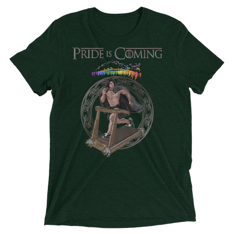 Pride is Coming (Triblend)-Triblend T-Shirt-Swish Embassy