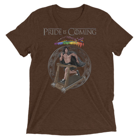 Pride is Coming (Triblend)-Triblend T-Shirt-Swish Embassy