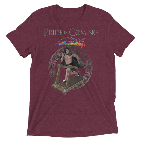 Pride is Coming (Triblend)-Triblend T-Shirt-Swish Embassy