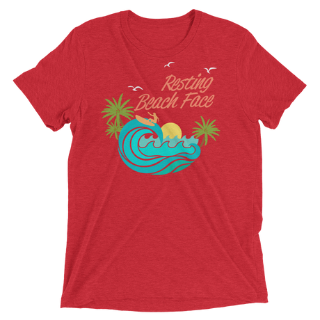 Resting Beach Face (Triblend)-Triblend T-Shirt-Swish Embassy