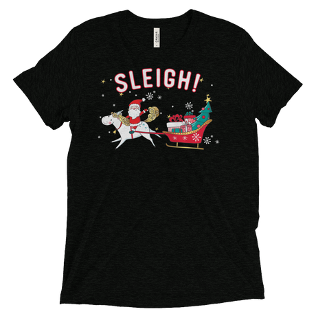 Sleigh! (Triblend)-Triblend T-Shirt-Swish Embassy