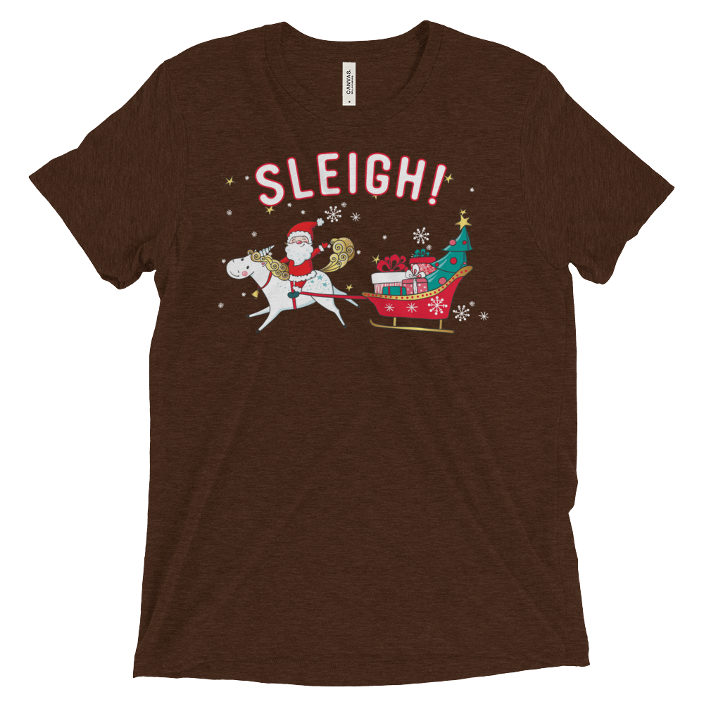 Sleigh! (Triblend)-Triblend T-Shirt-Swish Embassy