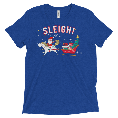 Sleigh! (Triblend)-Triblend T-Shirt-Swish Embassy