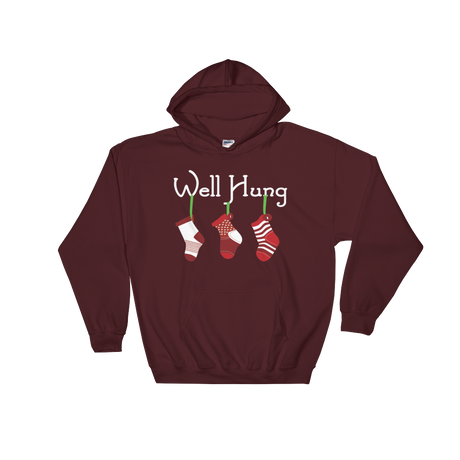 Well Hung Stockings (Hoodie)-Hoodie-Swish Embassy