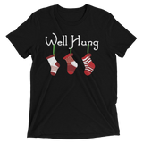 Well Hung Stockings (Triblend)-Triblend T-Shirt-Swish Embassy