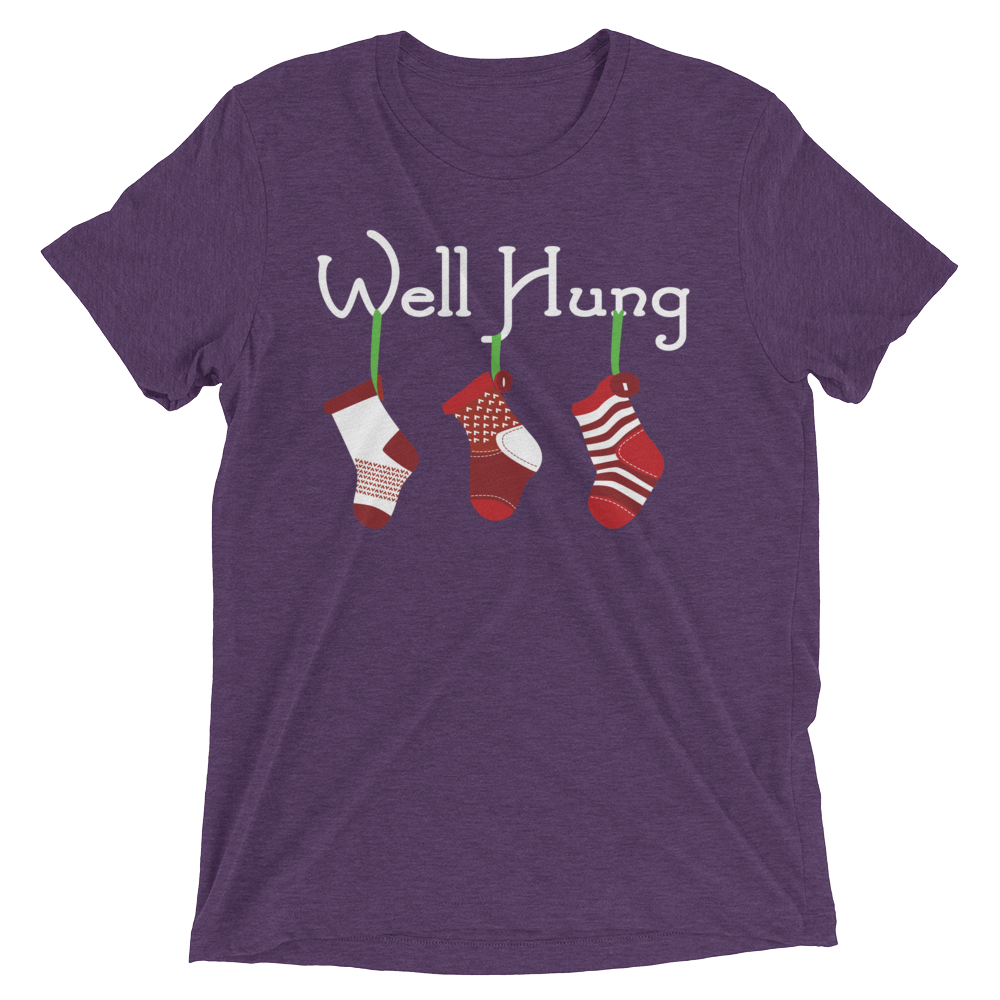 Well Hung Stockings (Triblend)-Triblend T-Shirt-Swish Embassy