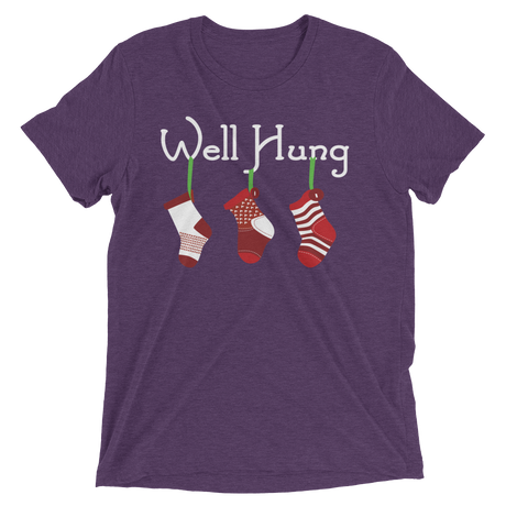 Well Hung Stockings (Triblend)-Triblend T-Shirt-Swish Embassy