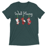 Well Hung Stockings (Triblend)-Triblend T-Shirt-Swish Embassy