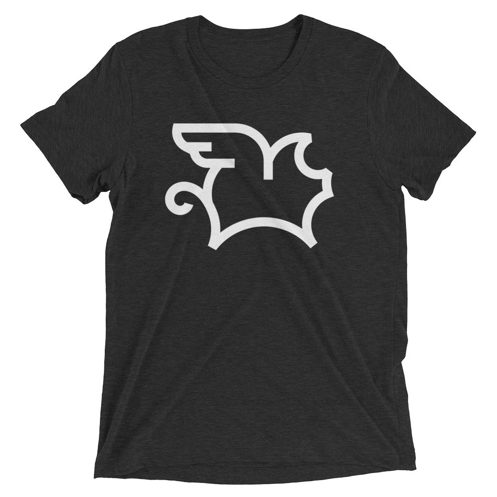 When Pigs Fly (Triblend)-Triblend T-Shirt-Swish Embassy