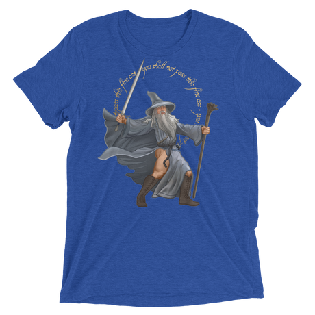 You Shall Not Pass This Fine Ass (Triblend)-Triblend T-Shirt-Swish Embassy