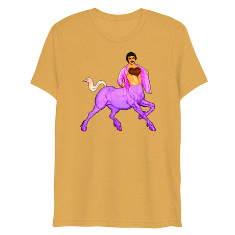 Centaur of Attention (Triblend)-Triblend T-Shirt-Swish Embassy