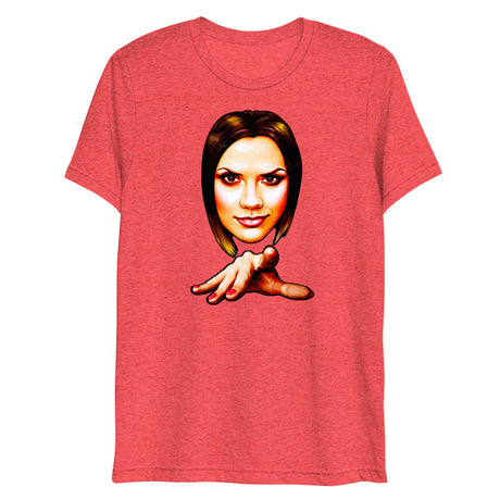 Pish Posh (Triblend)-Triblend T-Shirt-Swish Embassy