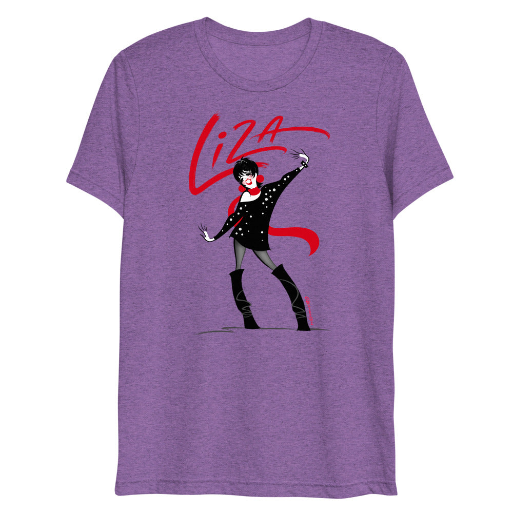 Life’s a Cabaret (Triblend) - Purple Triblend