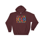 Are You High Clairee? (Hoodie)-Hoodie-Swish Embassy