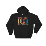 Are You High Clairee? (Hoodie)-Hoodie-Swish Embassy