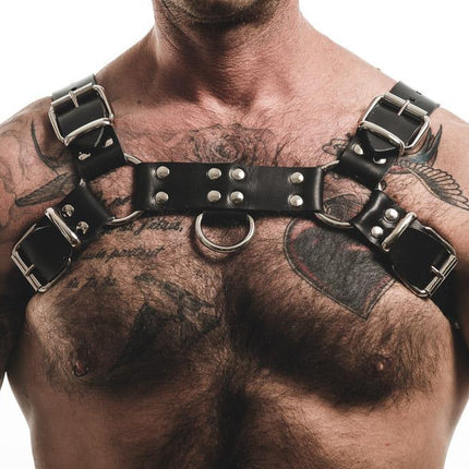Basic Bull (Harness)-Leather-Swish Embassy