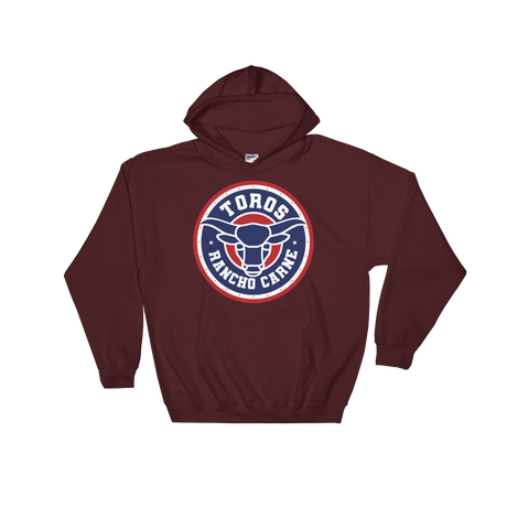 Brr It's Cold in Here (Hoodie)-Hoodie-Swish Embassy