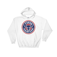 Brr It's Cold in Here (Hoodie)-Hoodie-Swish Embassy