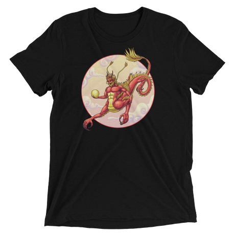 Centaur Dragon (Retail Triblend)-Triblend T-Shirt-Swish Embassy