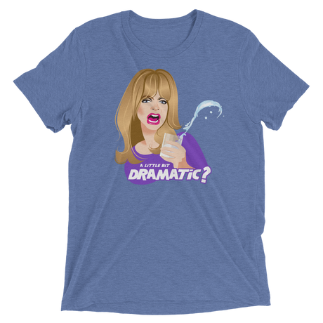 Dramatic (Retail Triblend)-Triblend T-Shirt-Swish Embassy