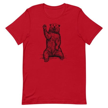 Friendly Bear-T-Shirts-Swish Embassy