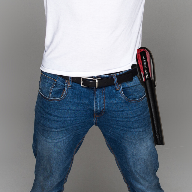 Full (Fan Holster)-Fan Holster-Swish Embassy