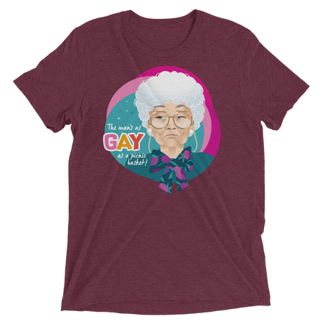 Gay as a Picnic Basket-Triblend T-Shirt-Swish Embassy